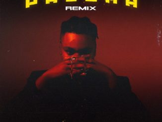 DJ Tunez ft. D3AN, Alpha P – Paloma (Remix)
