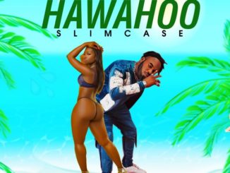 Slimcase – Hawahoo