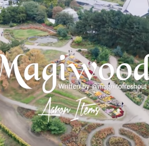 Magnito ft. Bovi – Magiwood