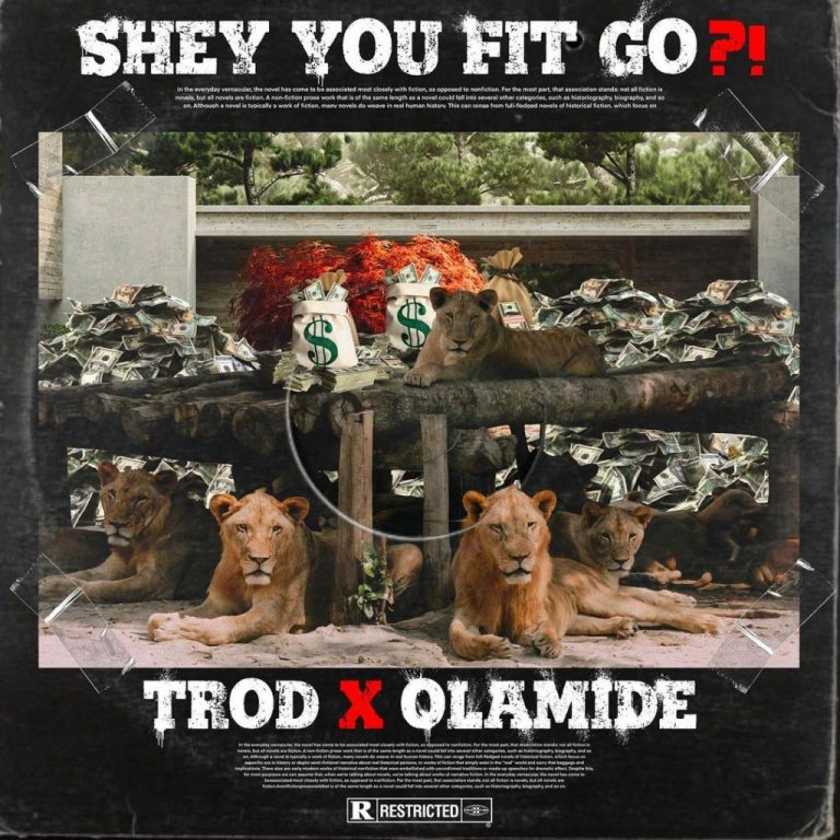 Trod ft. Olamide – Shey You Fit Go?!