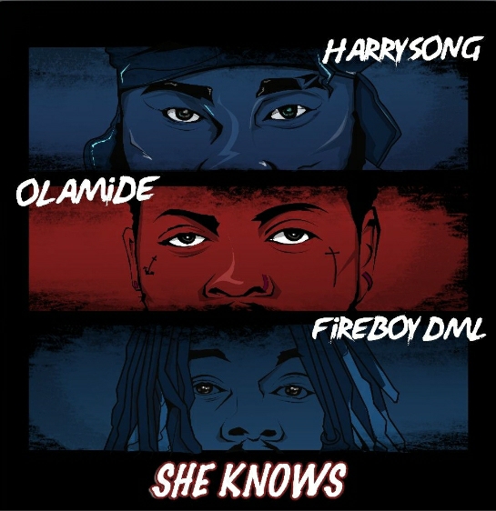 Harrysong ft. Olamide, Fireboy DML – She Knows