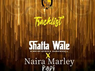 Shatta Wale ft. Naira Marley – Papi