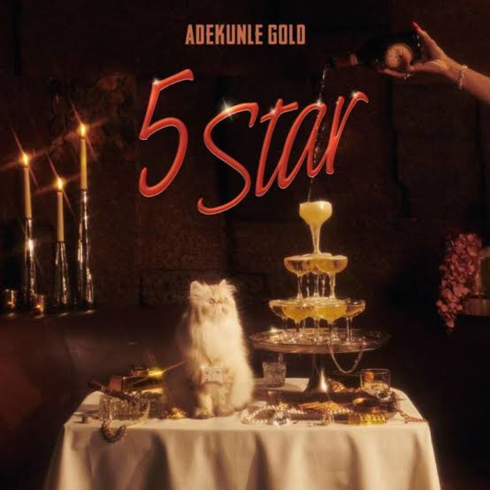 Adekunle Gold – 5 Star