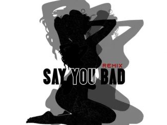 Skales ft. 1da Banton – Say You Bad (Remix)